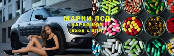 прущий лед Алзамай