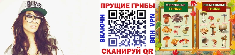 Псилоцибиновые грибы Psilocybine cubensis  купить  сайты  Задонск 